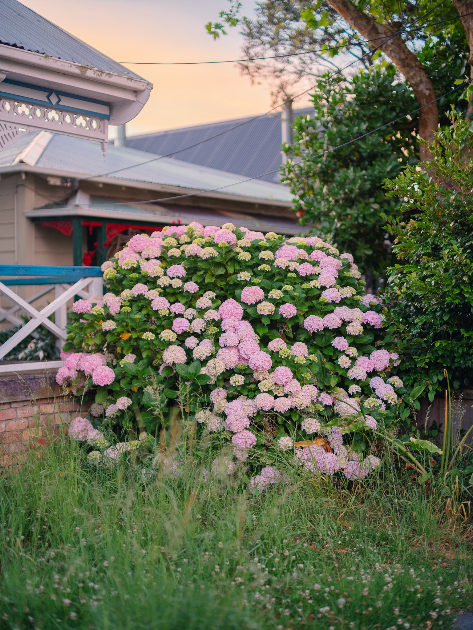 Environmental detail 2025